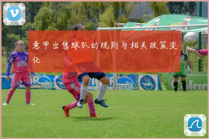 意甲出售球队的规则与相关政策变化