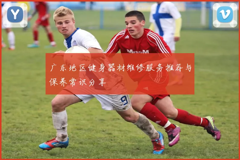 广东地区健身器材维修服务推荐与保养常识分享