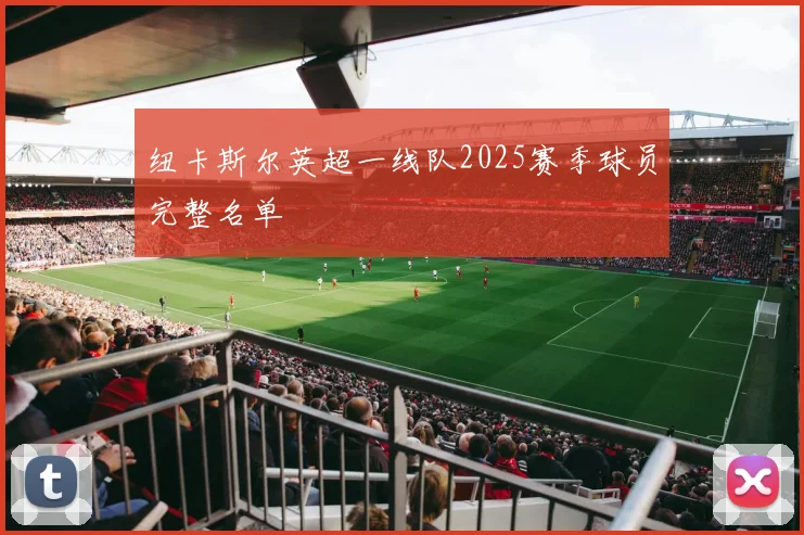 纽卡斯尔英超一线队2025赛季球员完整名单