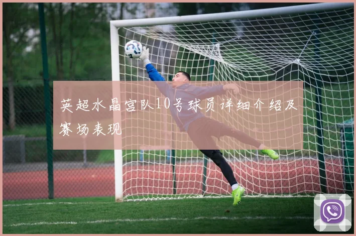 英超水晶宫队10号球员详细介绍及赛场表现