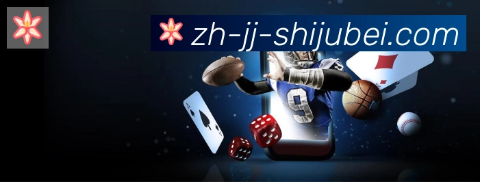 奖项证书