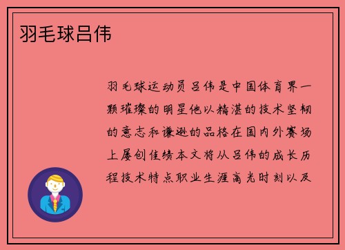 羽毛球吕伟