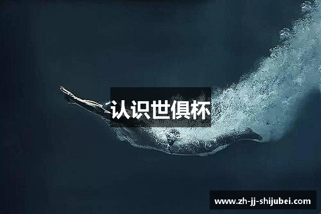 认识世俱杯